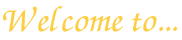 Welcome to...